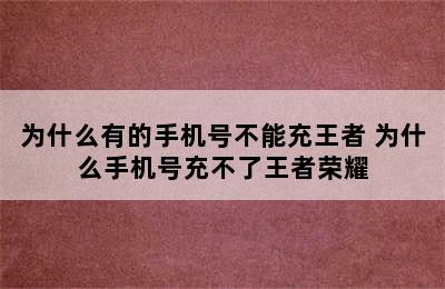 为什么有的手机号不能充王者 为什么手机号充不了王者荣耀